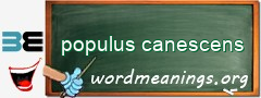 WordMeaning blackboard for populus canescens